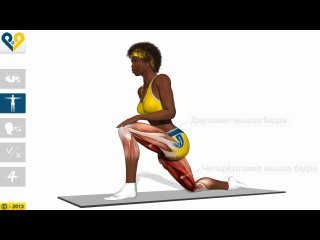 stretching exercises - hips stretch